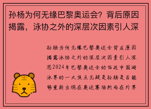 孙杨为何无缘巴黎奥运会？背后原因揭露，泳协之外的深层次因素引人深思